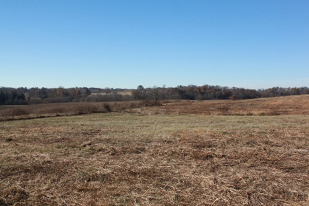 139 Acre Dairy Facilities, Crop, Pasture, Woods For Sale - image 13
