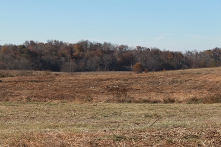 139 Acre Dairy Facilities, Crop, Pasture, Woods For Sale - image 14