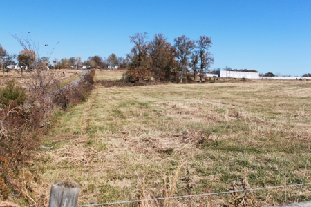 Stockyard Facilities, Land, House, Barns, Building For Sale - image 5