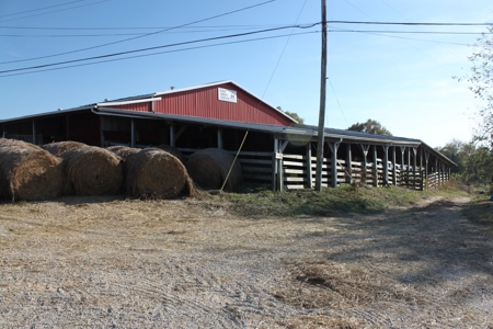 Stockyard Facilities, Land, House, Barns, Building For Sale - image 1