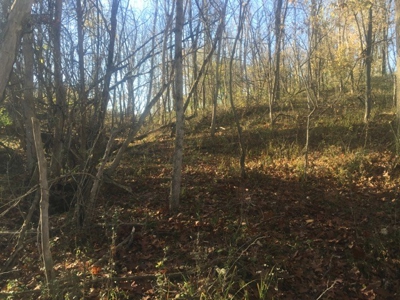 Oberlin Residential and Farmland Auction - 12/10/16 @ 11 a.m - image 30