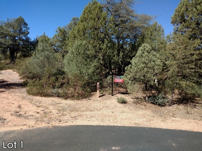 The Rim Golf Club Lots for Sale, Payson Arizona! - image 1