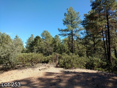 The Rim Golf Club Lots for Sale, Payson Arizona! - image 22