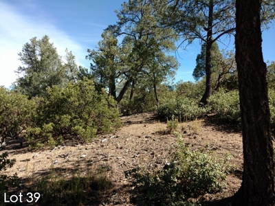 The Rim Golf Club Lots for Sale, Payson Arizona! - image 4