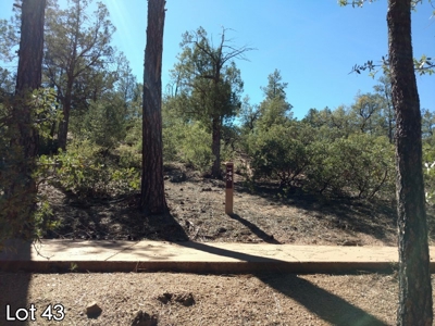 The Rim Golf Club Lots for Sale, Payson Arizona! - image 7