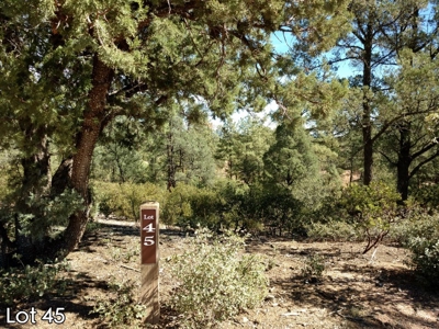 The Rim Golf Club Lots for Sale, Payson Arizona! - image 8