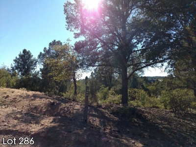 The Rim Golf Club Lots for Sale, Payson Arizona! - image 23