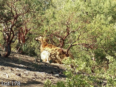 The Rim Golf Club Lots for Sale, Payson Arizona! - image 14