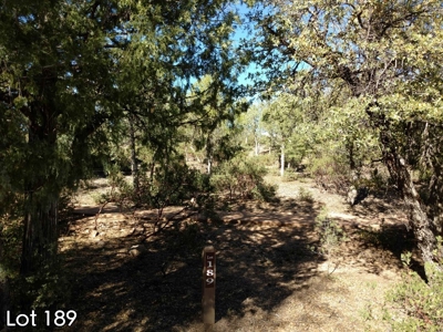 The Rim Golf Club Lots for Sale, Payson Arizona! - image 17