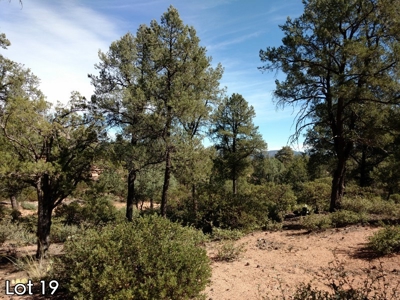 The Rim Golf Club Lots for Sale, Payson Arizona! - image 2