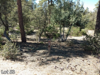 The Rim Golf Club Lots for Sale, Payson Arizona! - image 10