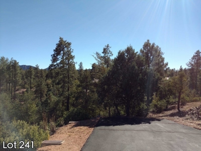 The Rim Golf Club Lots for Sale, Payson Arizona! - image 21