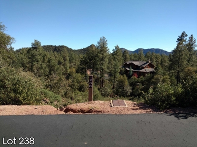 The Rim Golf Club Lots for Sale, Payson Arizona! - image 20