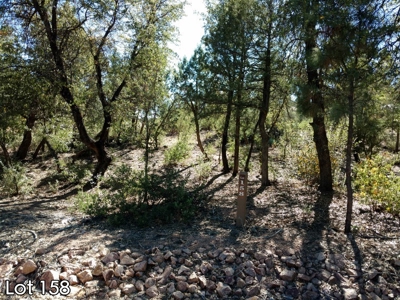 The Rim Golf Club Lots for Sale, Payson Arizona! - image 11