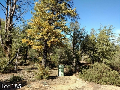 The Rim Golf Club Lots for Sale, Payson Arizona! - image 16