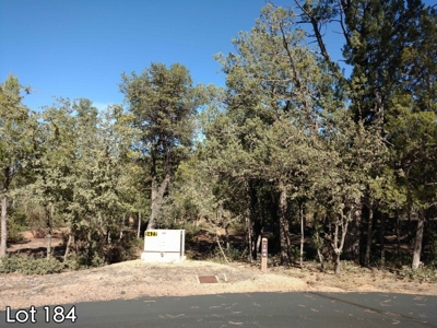 The Rim Golf Club Lots for Sale, Payson Arizona! - image 15