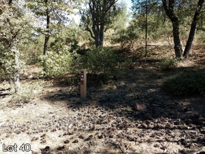 The Rim Golf Club Lots for Sale, Payson Arizona! - image 5