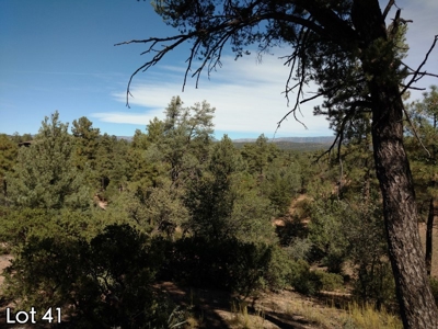 The Rim Golf Club Lots for Sale, Payson Arizona! - image 6