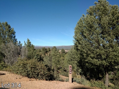 The Rim Golf Club Lots for Sale, Payson Arizona! - image 26