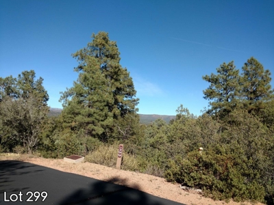 The Rim Golf Club Lots for Sale, Payson Arizona! - image 24