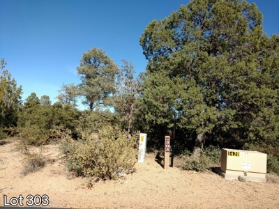 The Rim Golf Club Lots for Sale, Payson Arizona! - image 25