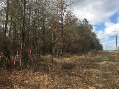 Old Field Timber Hunting Land for sale in Southwest Arkansas - image 11