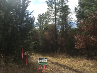 Old Field Timber Hunting Land for sale in Southwest Arkansas - image 8