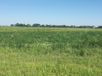 Northeast Kansas Public Land Auction 136 +/- Acres - image 7