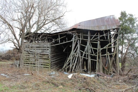 198.8 Acre Hopkinsville Kentucky Crop & Hunting Farm - image 8