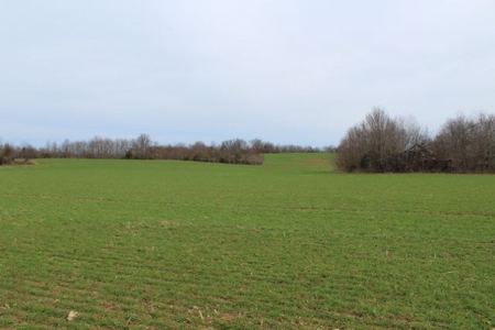 198.8 Acre Hopkinsville Kentucky Crop & Hunting Farm - image 28