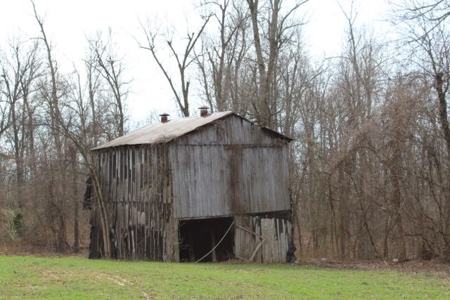 198.8 Acre Hopkinsville Kentucky Crop & Hunting Farm - image 11