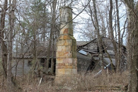 198.8 Acre Hopkinsville Kentucky Crop & Hunting Farm - image 18