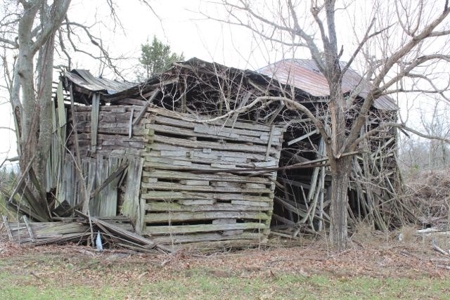 198.8 Acre Hopkinsville Kentucky Crop & Hunting Farm - image 9