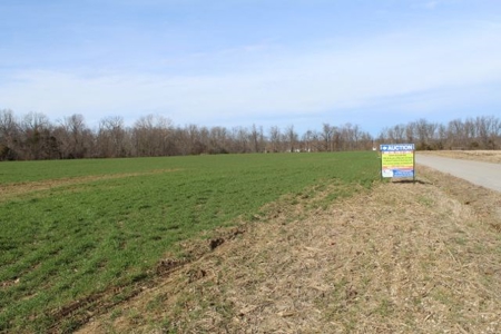 198.8 Acre Hopkinsville Kentucky Crop & Hunting Farm - image 31