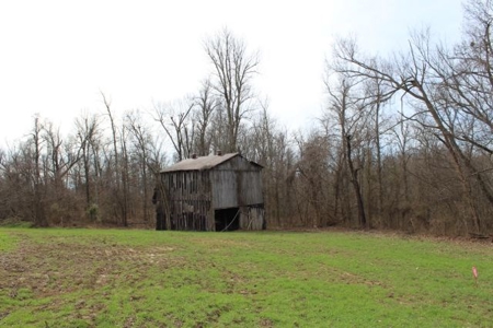 198.8 Acre Hopkinsville Kentucky Crop & Hunting Farm - image 14