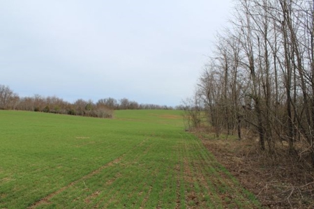 198.8 Acre Hopkinsville Kentucky Crop & Hunting Farm - image 25