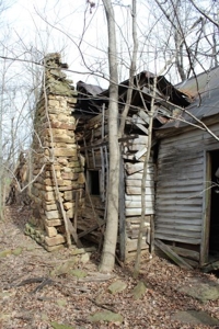 198.8 Acre Hopkinsville Kentucky Crop & Hunting Farm - image 23