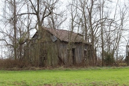 198.8 Acre Hopkinsville Kentucky Crop & Hunting Farm - image 12