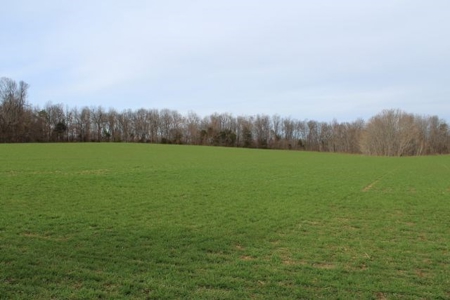 198.8 Acre Hopkinsville Kentucky Crop & Hunting Farm - image 26