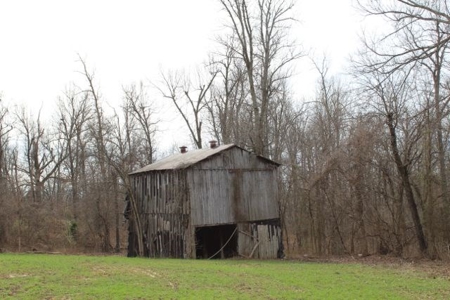 198.8 Acre Hopkinsville Kentucky Crop & Hunting Farm - image 10
