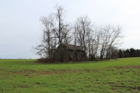 198.8 Acre Hopkinsville Kentucky Crop & Hunting Farm - image 13