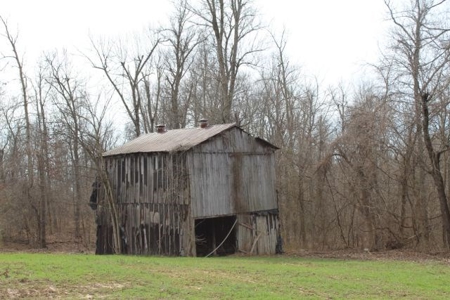 198.8 Acre Hopkinsville Kentucky Crop & Hunting Farm - image 15