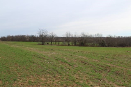 198.8 Acre Hopkinsville Kentucky Crop & Hunting Farm - image 7