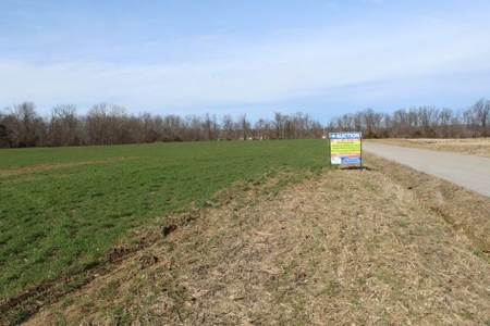198.8 Acre Hopkinsville Kentucky Crop & Hunting Farm - image 32
