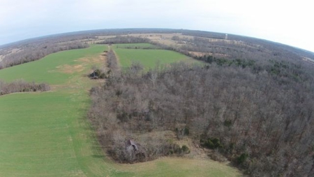 198.8 Acre Hopkinsville Kentucky Crop & Hunting Farm - image 2