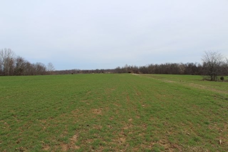 198.8 Acre Hopkinsville Kentucky Crop & Hunting Farm - image 5