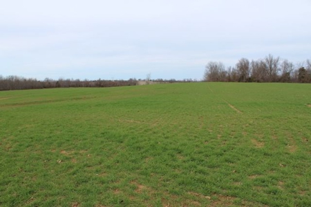 198.8 Acre Hopkinsville Kentucky Crop & Hunting Farm - image 4
