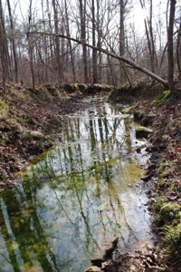198.8 Acre Hopkinsville Kentucky Crop & Hunting Farm - image 44