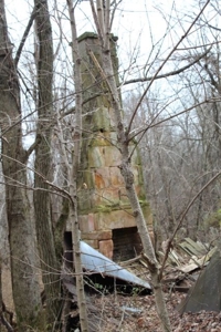 198.8 Acre Hopkinsville Kentucky Crop & Hunting Farm - image 20