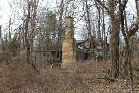 198.8 Acre Hopkinsville Kentucky Crop & Hunting Farm - image 17